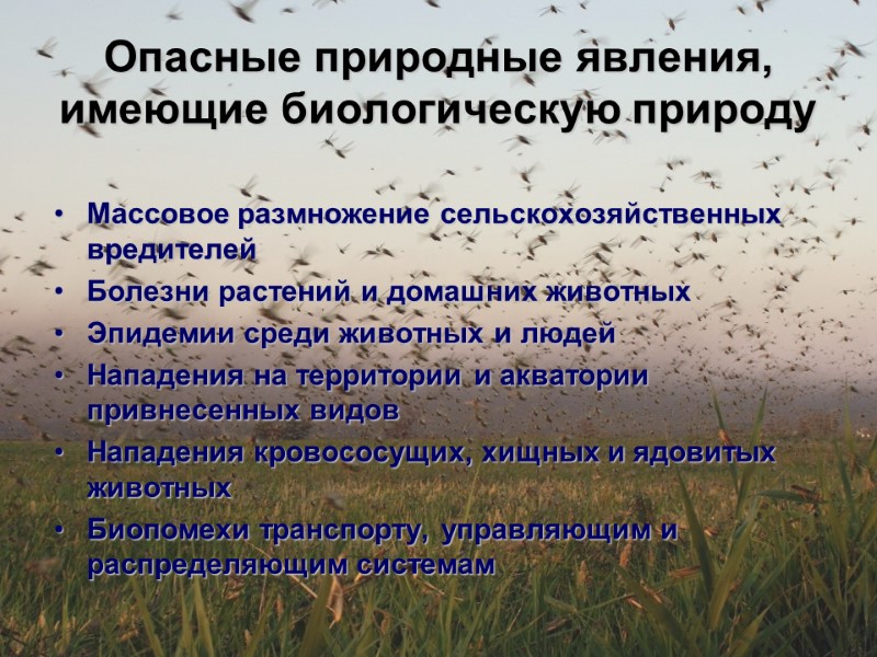 Опасные природные явления, имеющие биологическую природу Массовое размножение сельскохозяйственных вредителей Болезни растений и домашних